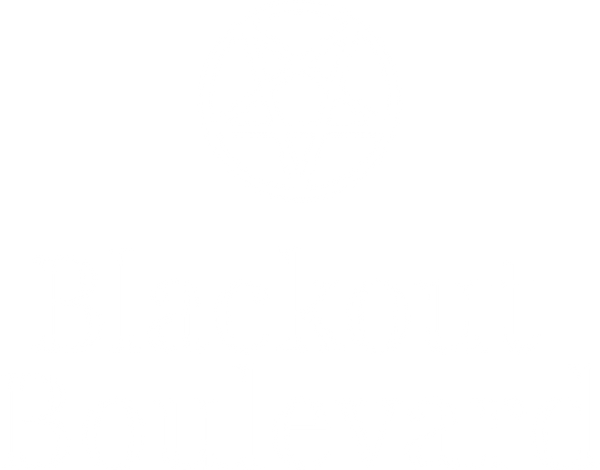 Blackout Boulevard